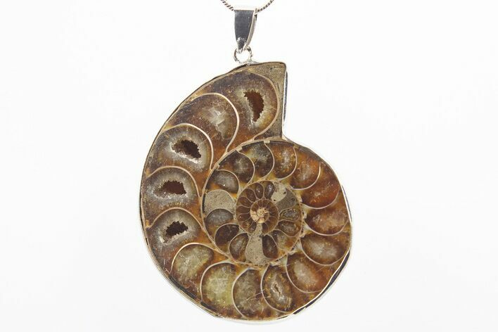 Fossil Ammonite Pendant - Million Years Old #306465